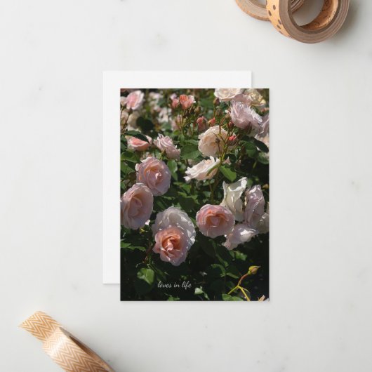  lichtroze Rozen Notitiekaartje (Voorkant / Achterkant in situ)
