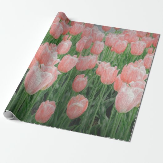 Lichtroze Tulp Inpakpapier (Uitgerold)