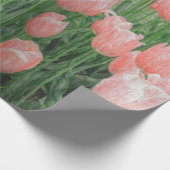 Lichtroze Tulp Inpakpapier (Hoek)