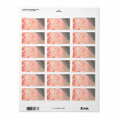 Lichtroze zilverreflectie in roos etiket (Full Sheet)
