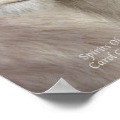 Lichtspiritten - Poster met witte leeuwen/afdrukke (Hoek)