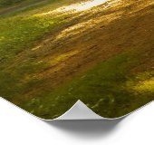 Lichtstralen in het bos poster (Hoek)