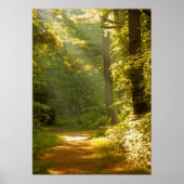 Lichtstralen in het bos poster (Voorkant)