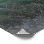 Lichtstralen in het bos Poster (Hoek)