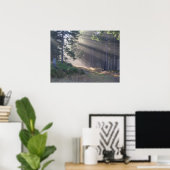 Lichtstralen in het bos Poster (Thuiskantoor)