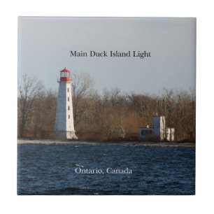 Lichttegel van Duck Island Tegeltje