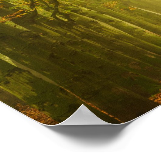 Lichttunnel in het poster van het bos (Hoek)