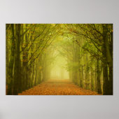 Lichttunnel in het poster van het bos (Voorkant)