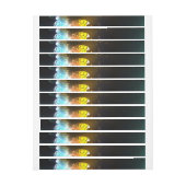 Lichtvlinder en nachtvlinder (Vel)