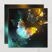 Lichtvlinder en nachtvlinder advieskaart (Voorkant / Achterkant)