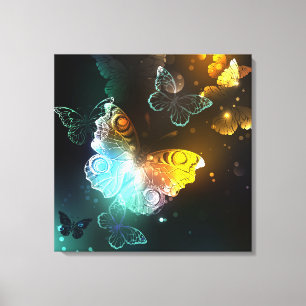 Lichtvlinder en nachtvlinder canvas afdruk