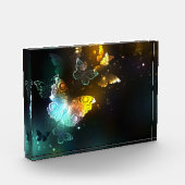 Lichtvlinder en nachtvlinder fotoblokken (Links)