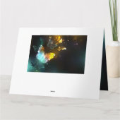 Lichtvlinder en nachtvlinder kaart (Achterkant)