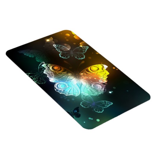 Lichtvlinder en nachtvlinder magneet (Rechterzijde)