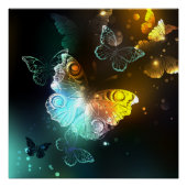 Lichtvlinder en nachtvlinder perfect poster (Voorkant)