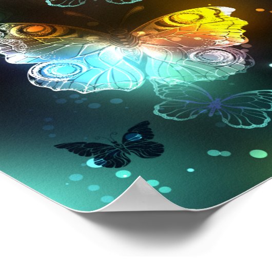 Lichtvlinder en nachtvlinder poster (Hoek)