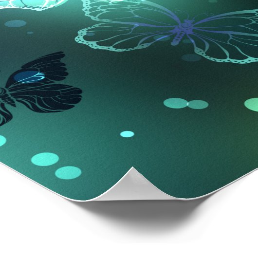 Lichtvlinder en nachtvlinder poster (Hoek)