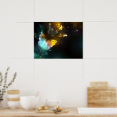 Lichtvlinder en nachtvlinder poster (Keuken)