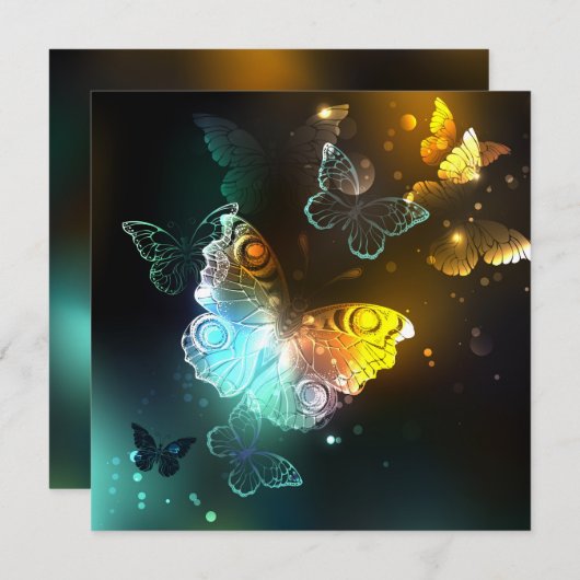 Lichtvlinder en nachtvlinder programmakaart (Voorkant / Achterkant)