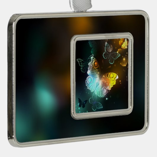 Lichtvlinder en nachtvlinder verzilverd omlijst ornament (Rechts)