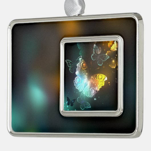 Lichtvlinder en nachtvlinder verzilverd omlijst ornament (Links)