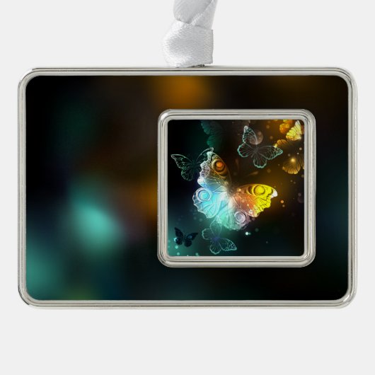 Lichtvlinder en nachtvlinder verzilverd omlijst ornament (Voorkant)