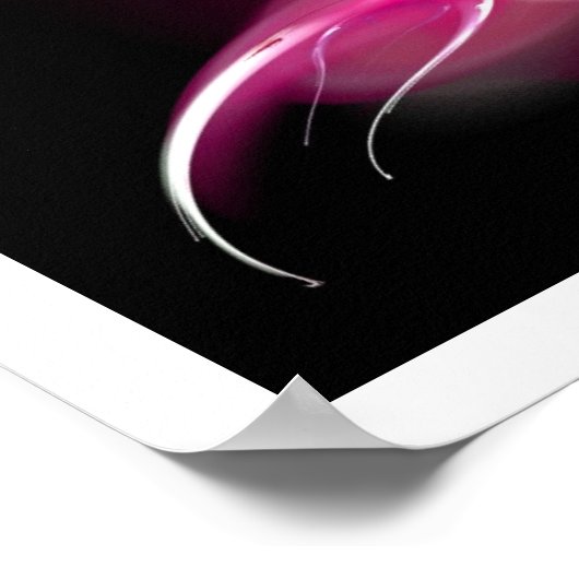 LICHTVOGELS IN RODE POSTER (Hoek)