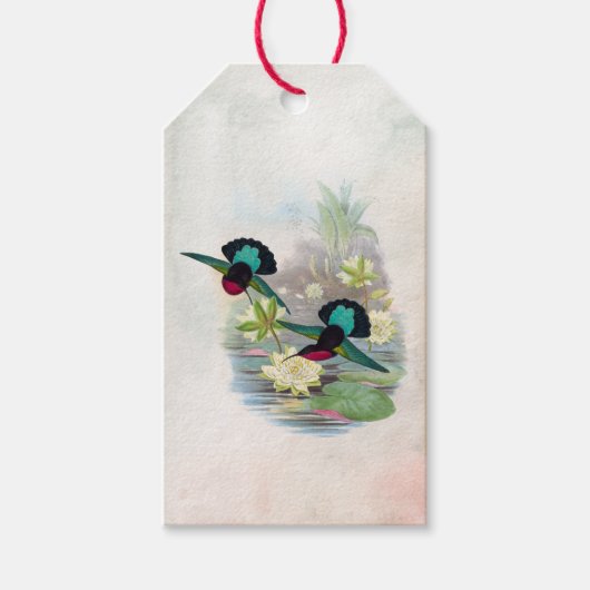 Lichtvogels Lotus Pond Briljant Gift Label Cadeaulabel (Voorkant)