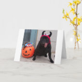 Licker behandelt kaart (Gele Bloem)