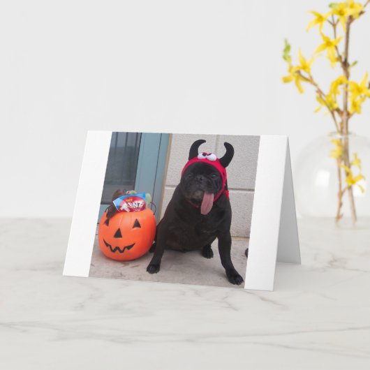 Licker behandelt kaart (Gele Bloem)