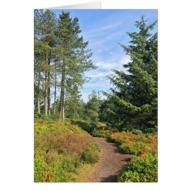 Lickey Hills (Voorkant)