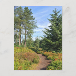 Lickey Hills Briefkaart