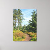 Lickey Hills Canvas Afdruk (Voorkant)