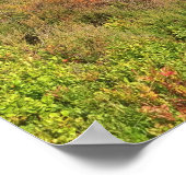 Lickey Hills Poster (Hoek)