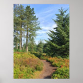 Lickey Hills Poster (Voorkant)