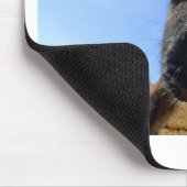 Lickin-koe Muismat (Hoek)