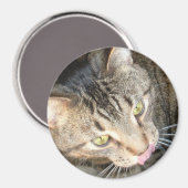 Licky Paws Magneet (Voorkant / Achterkant)