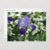 Liebe Briefkaart (Voorkant / Achterkant)