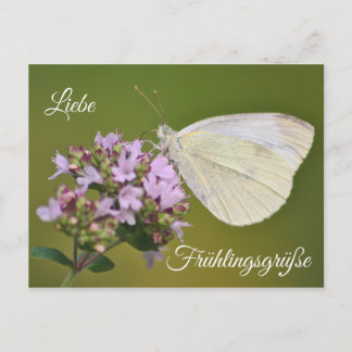 Liebe Frühlingsgrüße Briefkaart