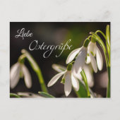 Liebe Ostergrüße aus dem Briefkasten Briefkaart (Voorkant)