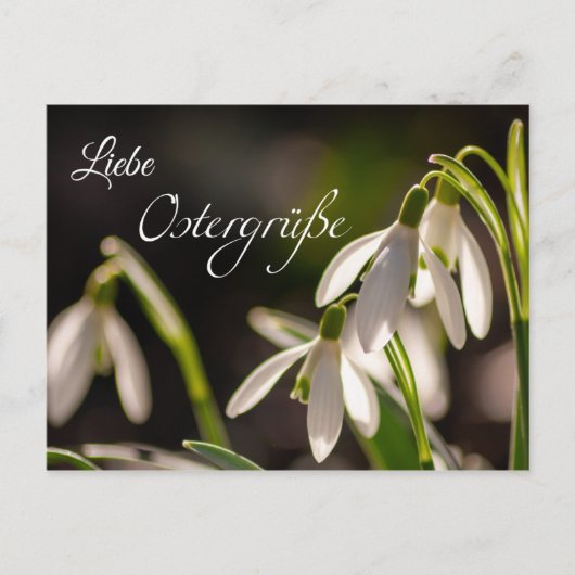 Liebe Ostergrüße aus dem Briefkasten Briefkaart (Voorkant)