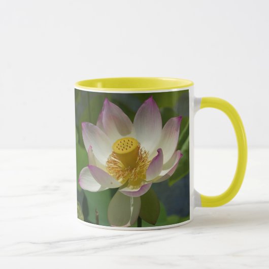 liebloem op de mok van de waterringer (Rechts)