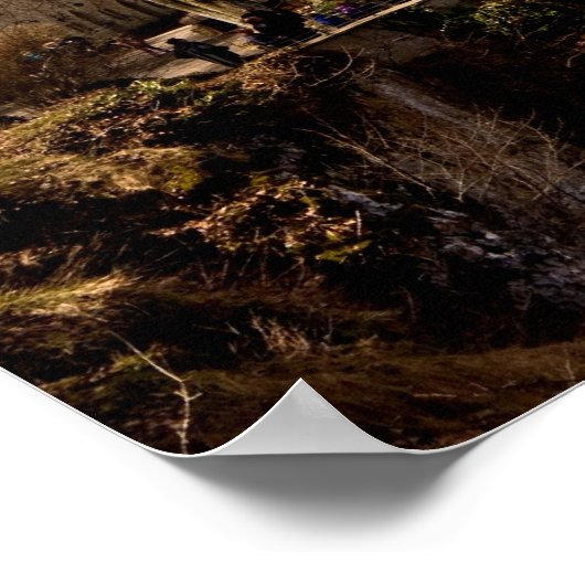 Liechtenstein Castle Schloss Lichtenstein Poster (Hoek)