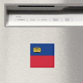 Liechtenstein, Libië vlag Magneet (Insitu (Vaatwasser))
