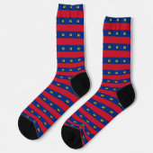 Liechtenstein Socks, patriottische mode Sokken (Links)
