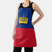 Liechtensteinse vlag schort (Insitu)