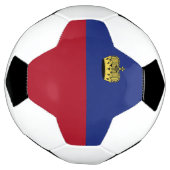 Liechtensteinse vlag voetbal (Gedraaid)