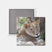 liederlijk gezicht magneet (Voorkant / Achterkant)