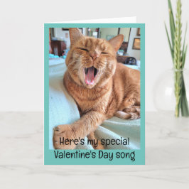 Liedje van Ginger Cat voor Special Valentijn Kaart