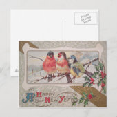 Liedvogel Hulst Sneeuw Briefkaart (Voorkant / Achterkant)